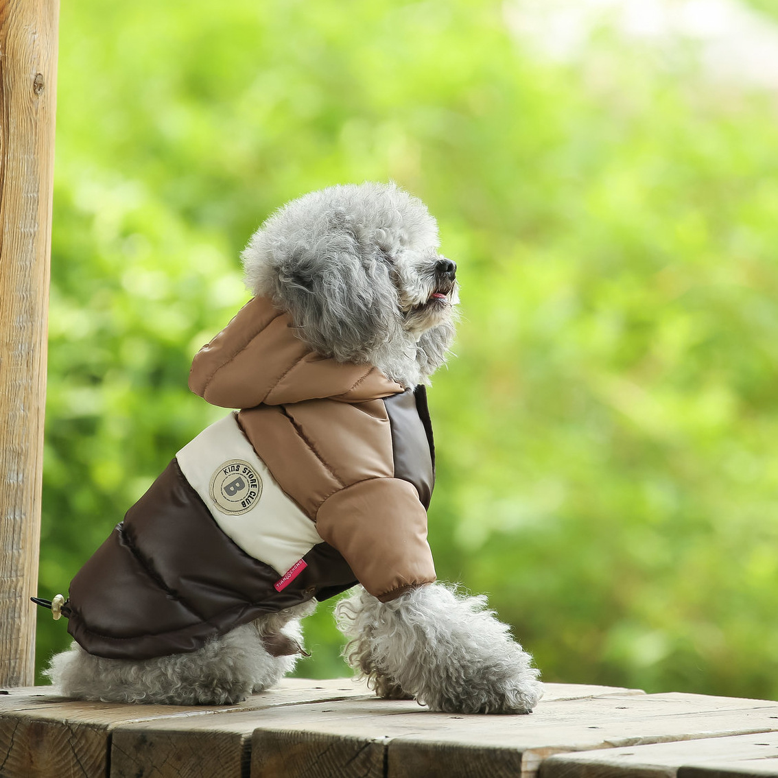Pet Vest Pet Supplies Winter C - Winter Clothing Options ulasan dan harga