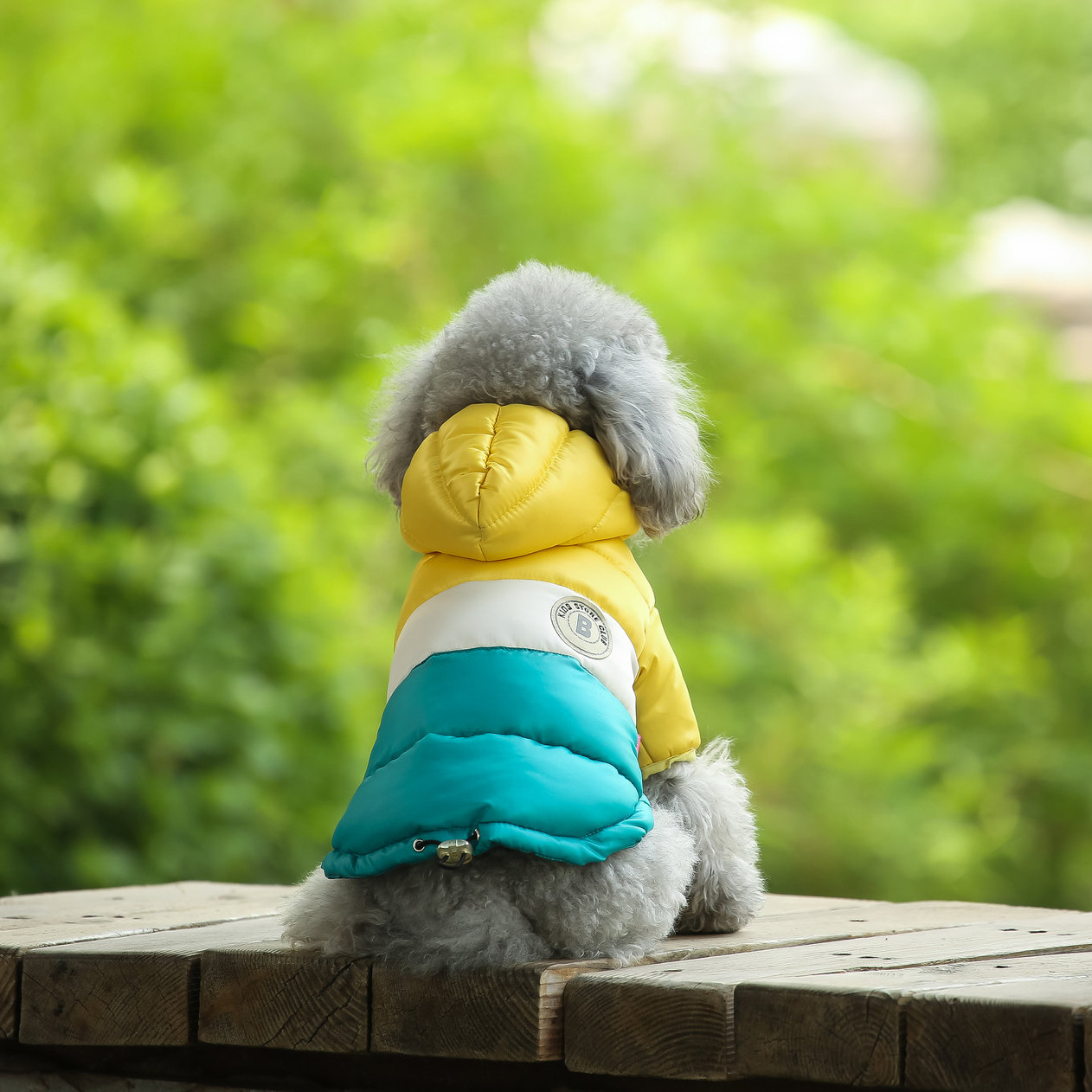 Pet Vest Pet Supplies Winter C - Winter Clothing Options ulasan dan harga