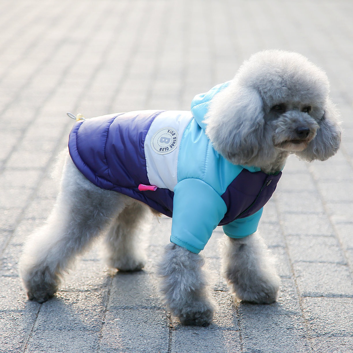 Pet Vest Pet Supplies Winter C - Winter Clothing Options ulasan dan harga